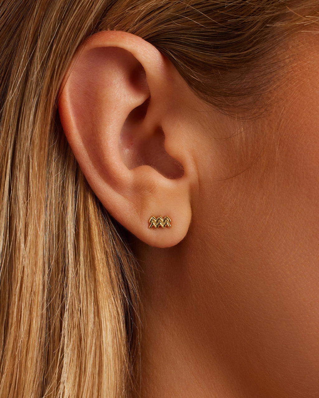 Zodiac Charm Stud - Aquarius || option::18K Gold Plated, Aquarius