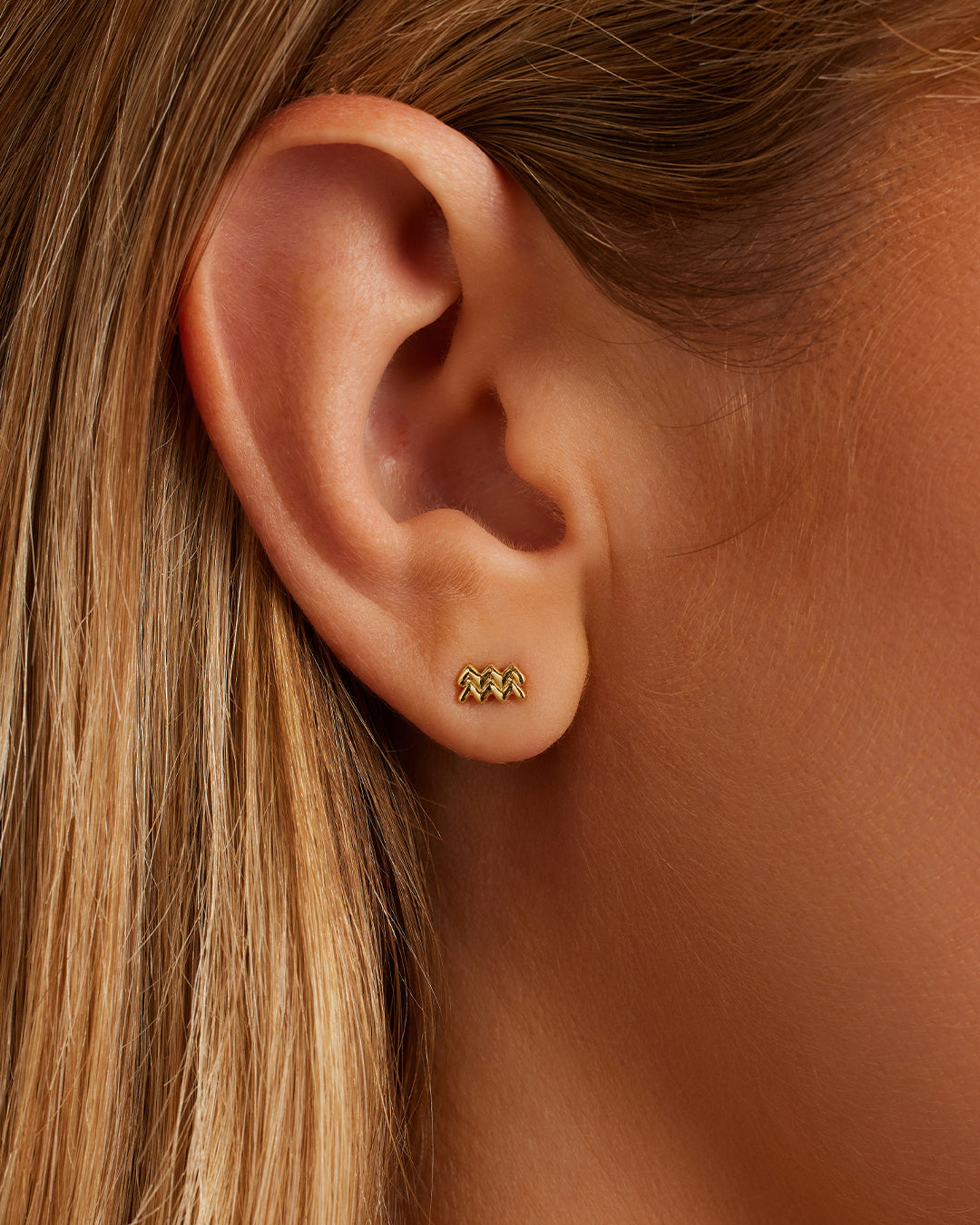 Zodiac Charm Stud - Aquarius || option::18K Gold Plated, Aquarius