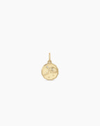 Diamond Zodiac Coin Charm || option::14K Solid Gold, Aquarius