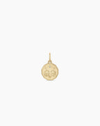 Diamond Zodiac Coin Charm || option::14K Solid Gold, Aries