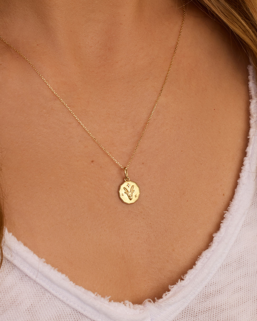 Diamond Zodiac Coin Charm Necklace || option::14K Solid Gold, Capricorn