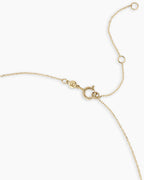 Diamond Zodiac Coin Charm Necklace || option::14K Solid Gold, Capricorn