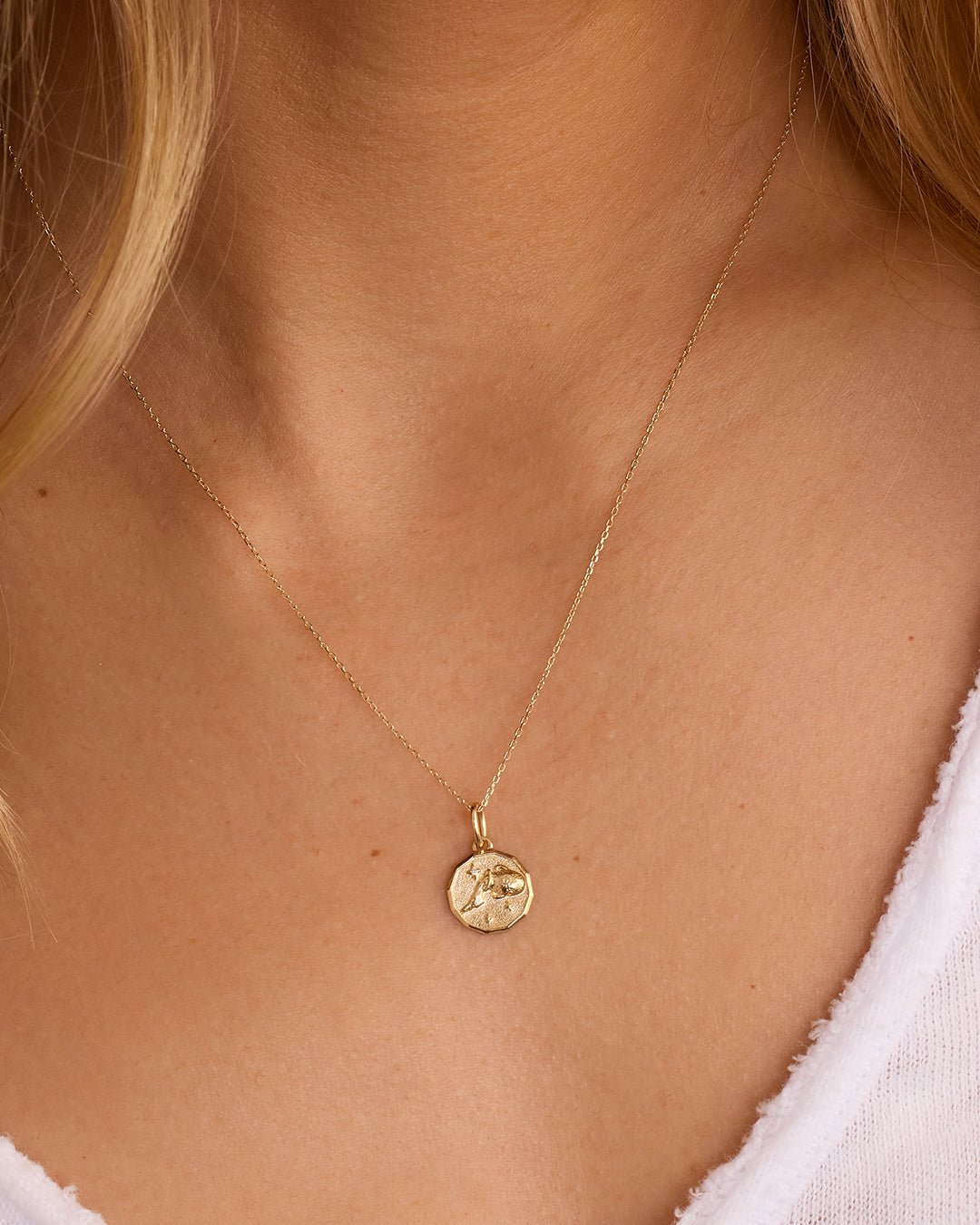 Diamond Zodiac Coin Charm Necklace || option::14K Solid Gold, Aquarius
