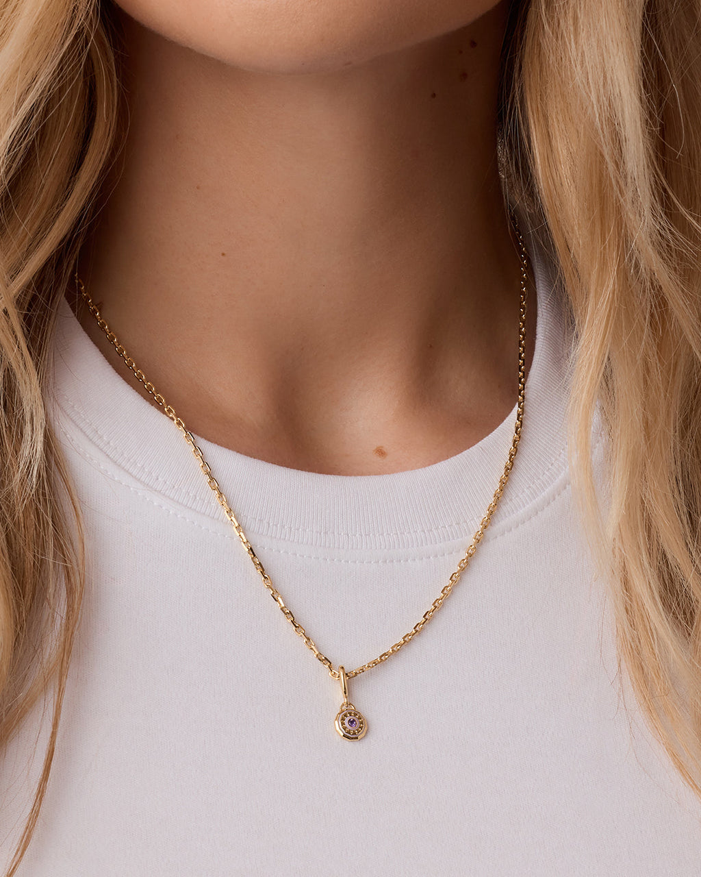 Birthstone Parker Charm || option::18K Gold Plated, Amethyst - February