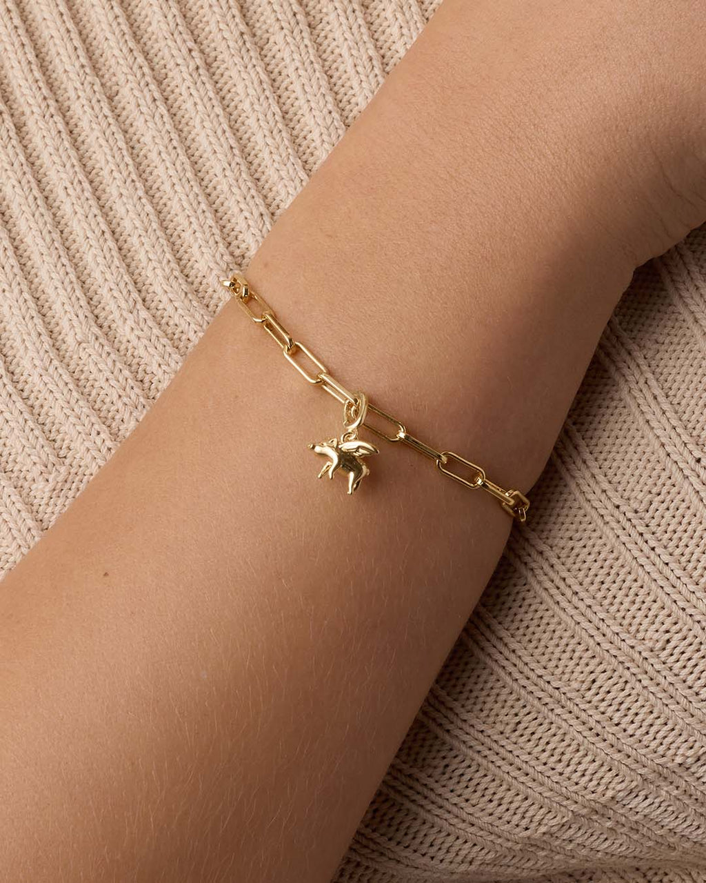 When Pigs Fly Parker Charm || option::18K Gold Plated