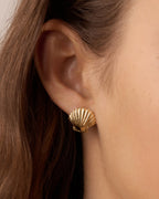Shell Statement Studs || option::18K Gold Plated