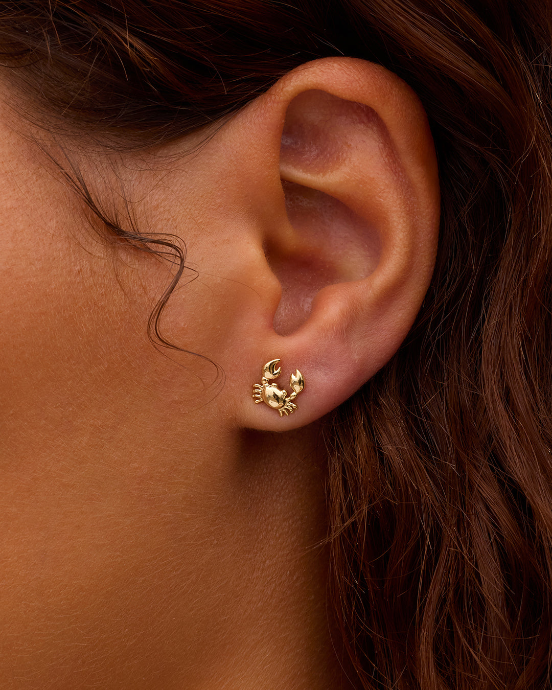 Crab Single Stud || option::18K Gold Plated