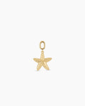 Starfish Statement Parker Charm || option::18K Gold Plated