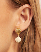 Scallop Earrings || option::18K Gold Plated