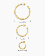 Carter Hoops || option::18K Gold Plated